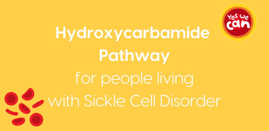 Yellow box with the words 'hydroxycarbamid pathway for people living with sickle cell disorder'