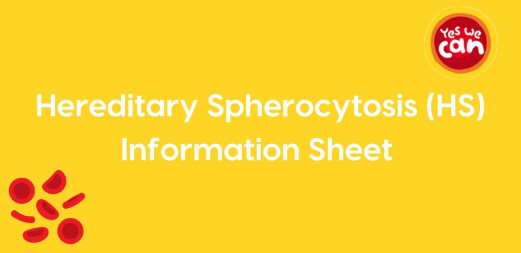 Yellow box with some blood cell graphics and the words Hereditary Sperocytosis information leaflet