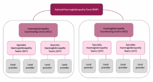 spider graph showing national haemoglobinopathy panel (NHP)